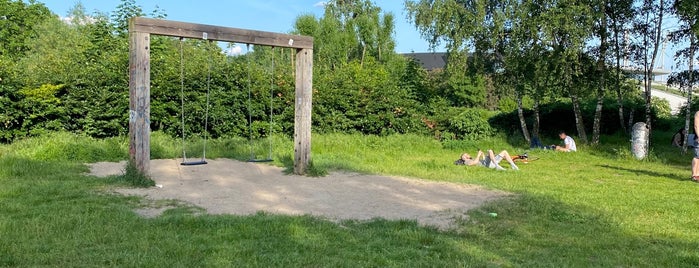 Birkenwäldchen im Mauerpark is one of warum nicht gleich so, berlin?.