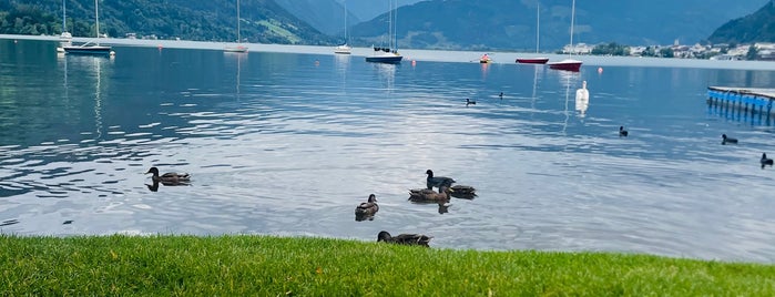 Yachtclub Zell am See is one of Zell am See.