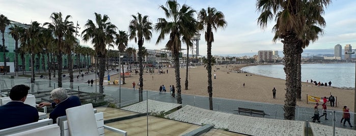 W Beach is one of Barcelona.