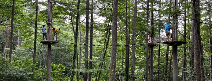 Forest Adventure Fuji is one of Japan.