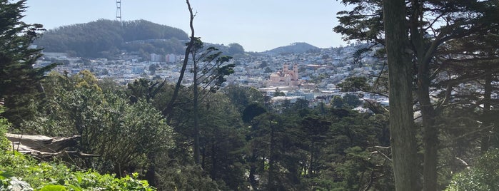 Strawberry Hill is one of San Francisco.
