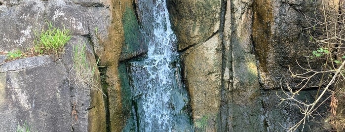 Huntington Falls is one of Bay Area Outdoors.