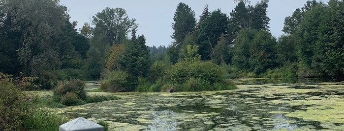 Meadowbrook Pond is one of Seattle.