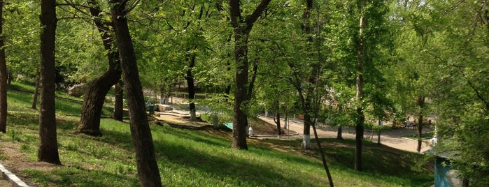 Strukovskiy Garden / Gorky Park is one of самара.