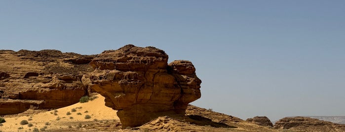 Hegra is one of AlUla, Saudi Arabia 🇸🇦.