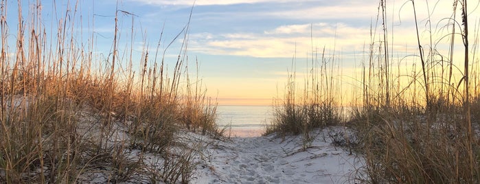 Stop 6 - Pensacola Beach Eco Trail is one of Footprints in the Sand Eco-Trail.