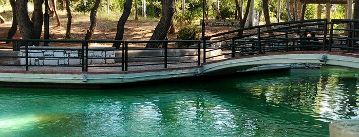 Piu Verde is one of Lugares favoritos de Dimitra.
