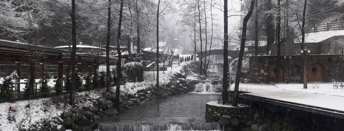 Sopali Restoran is one of Sakarya.