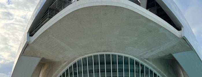 Auditorio Santiago Calatrava is one of Spain.