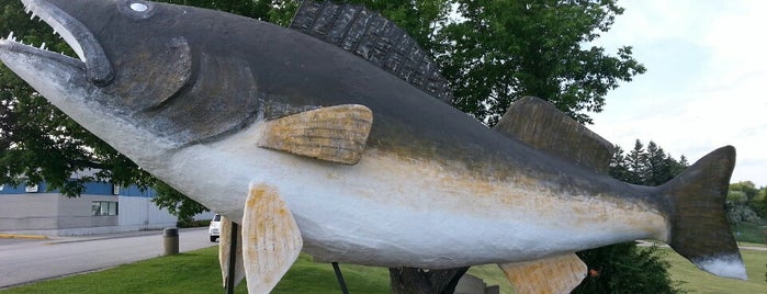 Willy The Walleye is one of Weird Museums and Roadside Attractions.