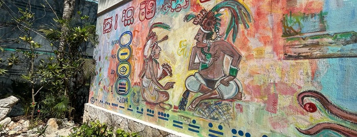 The Mayan Cacao Company is one of Cozumel.