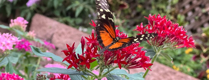 Butterfly House is one of Mackinac Island.