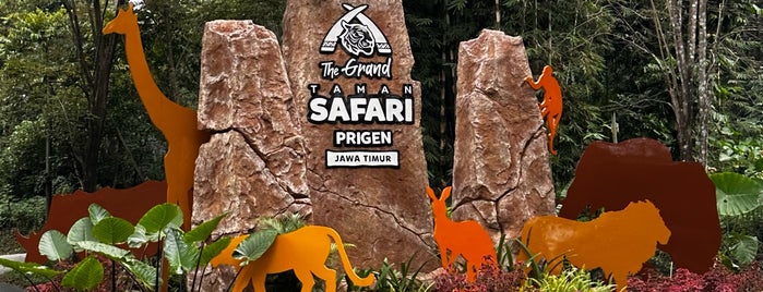 Taman Safari Indonesia II is one of Entertainment.