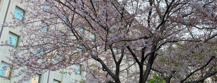 Hotel Princess Garden is one of 세상의 모든 호텔.