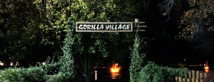 Gorilla Village is one of College.