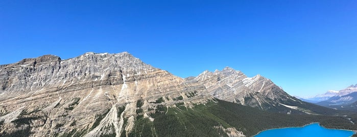 Peyto Lake is one of Alberta - Wild Rose Country.