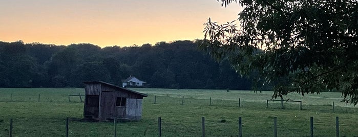 Prigel Family Creamery is one of Orte, die Darryl gefallen.