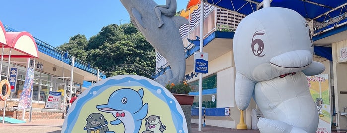 イルカ島 is one of 日本の水族館 Aquariums in Japan.