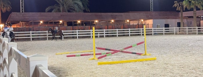 Medhal Equestrian Stable. is one of Horse ridding Riyadh.