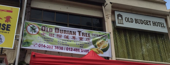 Old Durian Tree Enterprise is one of lye_soon's Saved Places.