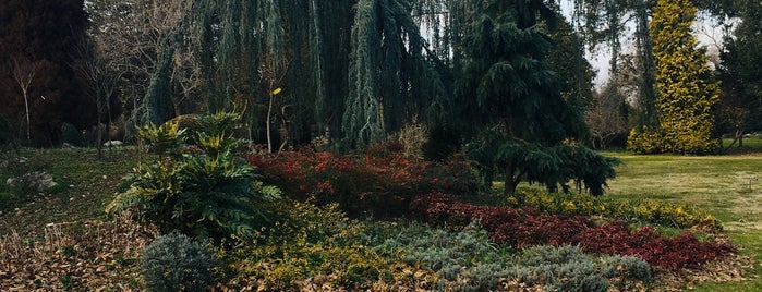 Karaca Arboretum Fidanlığı is one of GİDİLECEK.