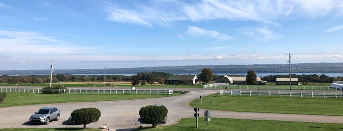 Torrey Ridge Winery is one of Finger Lakes Wine Tour.