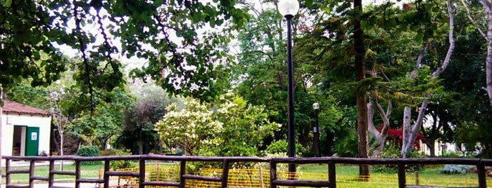 Public Garden is one of Pavlosさんのお気に入りスポット.