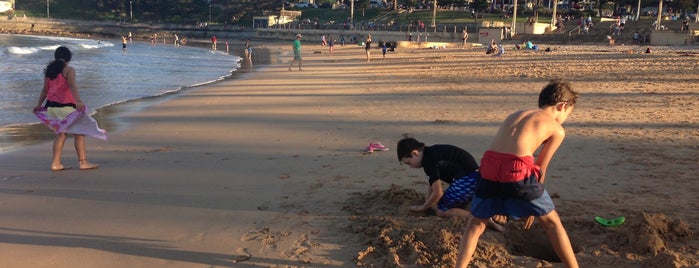 Dee Why Beach is one of Posti che sono piaciuti a Raluca Bastucescu.