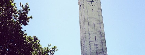 University of California, Berkeley is one of NCAA Division I FBS Football Schools.