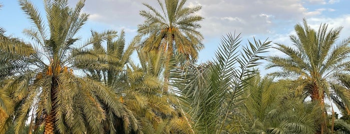 حائط حركان is one of Unaizah Spots.