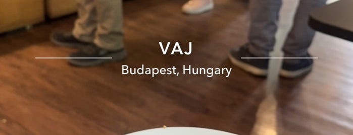 VAJ is one of Visited in Budapest.