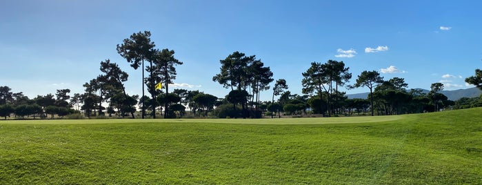 Tróia Golf is one of Golf Courses in Portugal.