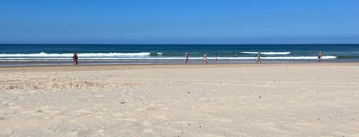 Praia da Mata is one of local.