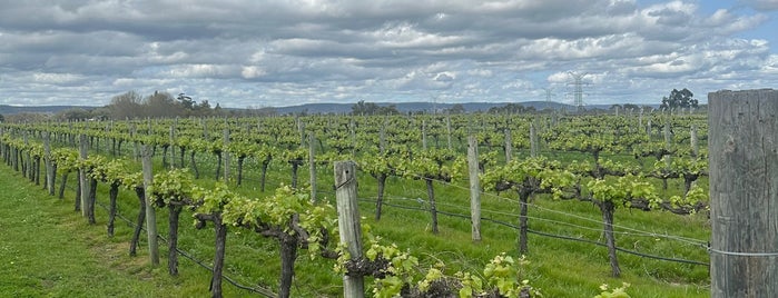 Lancaster Wines is one of Perth picks.