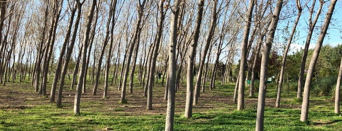 İnciraltı Kent Ormanı is one of Locais curtidos por 🌼Mukaddes.