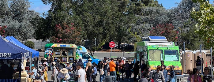 De Anza Flea Market is one of SF Bay Area - I: Santa Clara & San Mateo Counties.