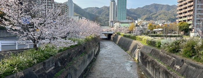 生田川公園 is one of Kobe.