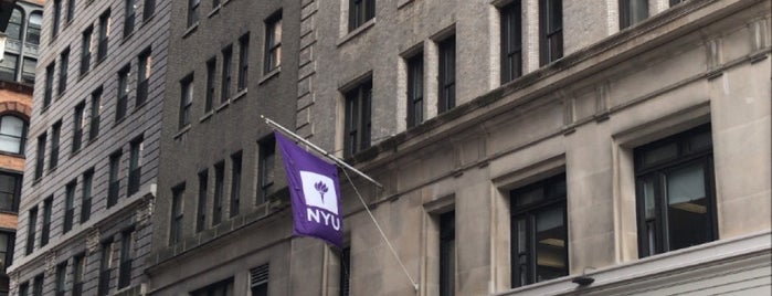 NYU Steinhardt School of Culture, Education and Human Development is one of NYU.