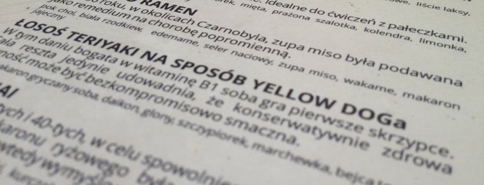 Yellow Dog is one of Kraków destinations.