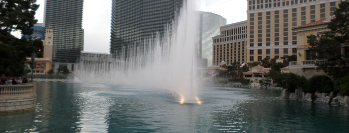 Fountains of Bellagio is one of My discovered list.