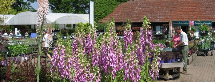 Wisley Plant Centre is one of Timさんのお気に入りスポット.