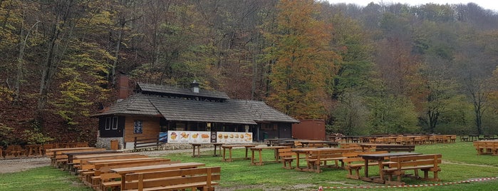 Buffet Kozjačka Draga is one of Tempat yang Disukai Oxana.