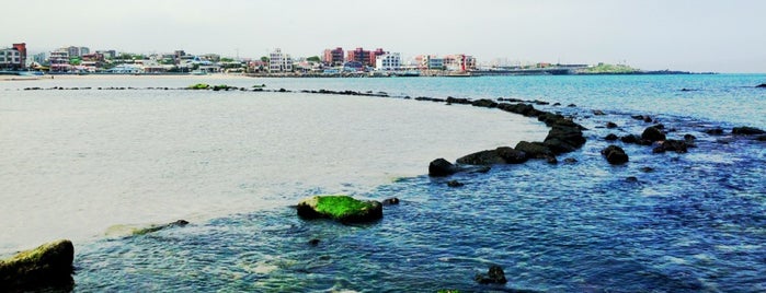 Iho Taewu Beach is one of Lieux qui ont plu à hyun jeong.