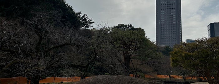 Japanese Traditional Garden is one of Lugares guardados de Ben.