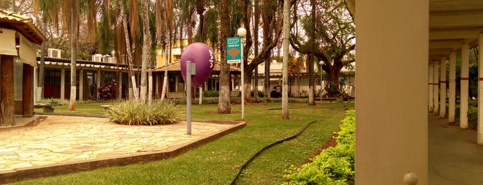 Universidade de São Paulo (USP) is one of Jaime.
