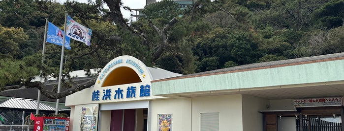 Katsurahama Aquarium is one of Top picks for Aquariums.