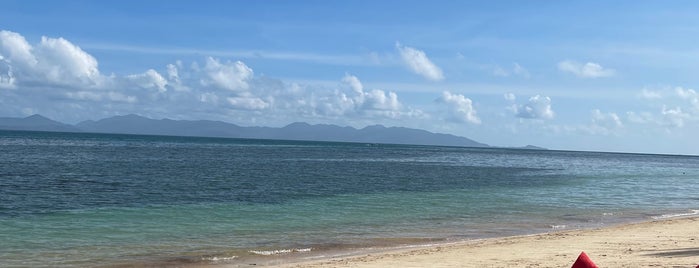 King Bush Reggae Beach is one of Thailand.