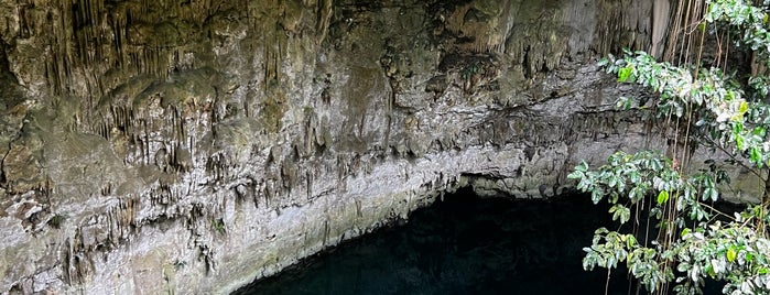 Cenote Sac Aua is one of Cenotes.