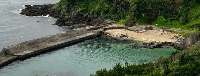 ガーデンヴィラ白浜 is one of Shimoda.