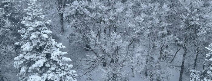 Zao Onsen is one of nagoya.